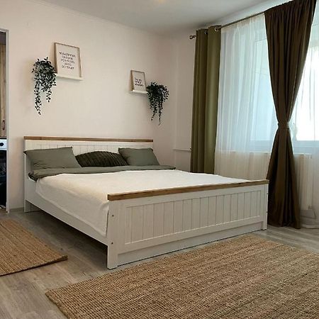 Carol Apartament'S Тимишоара Экстерьер фото