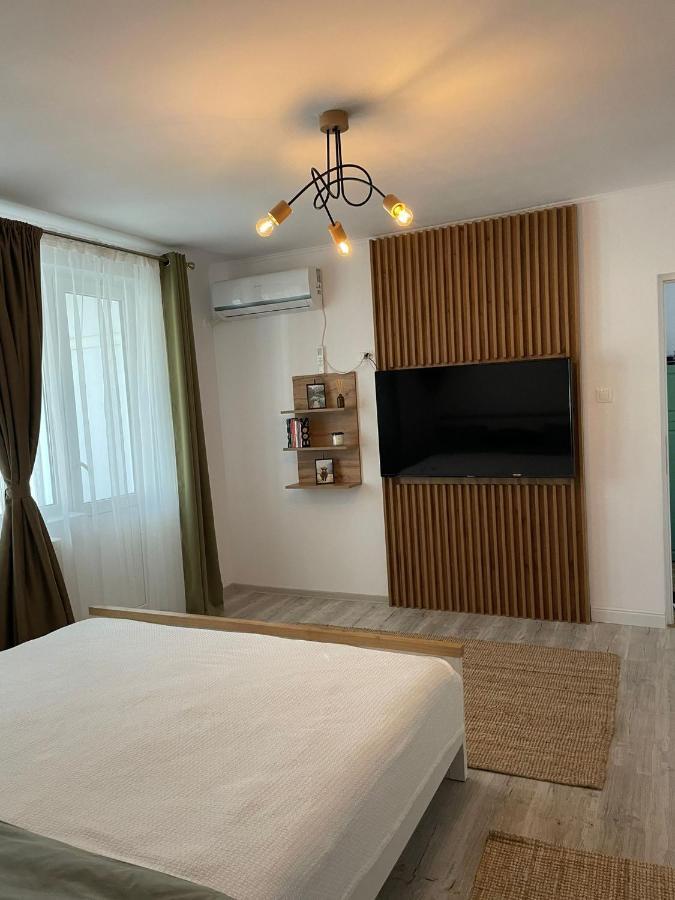 Carol Apartament'S Тимишоара Экстерьер фото