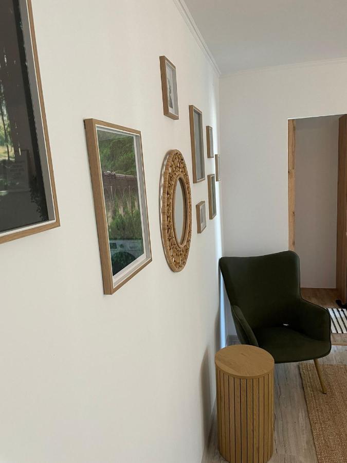 Carol Apartament'S Тимишоара Экстерьер фото