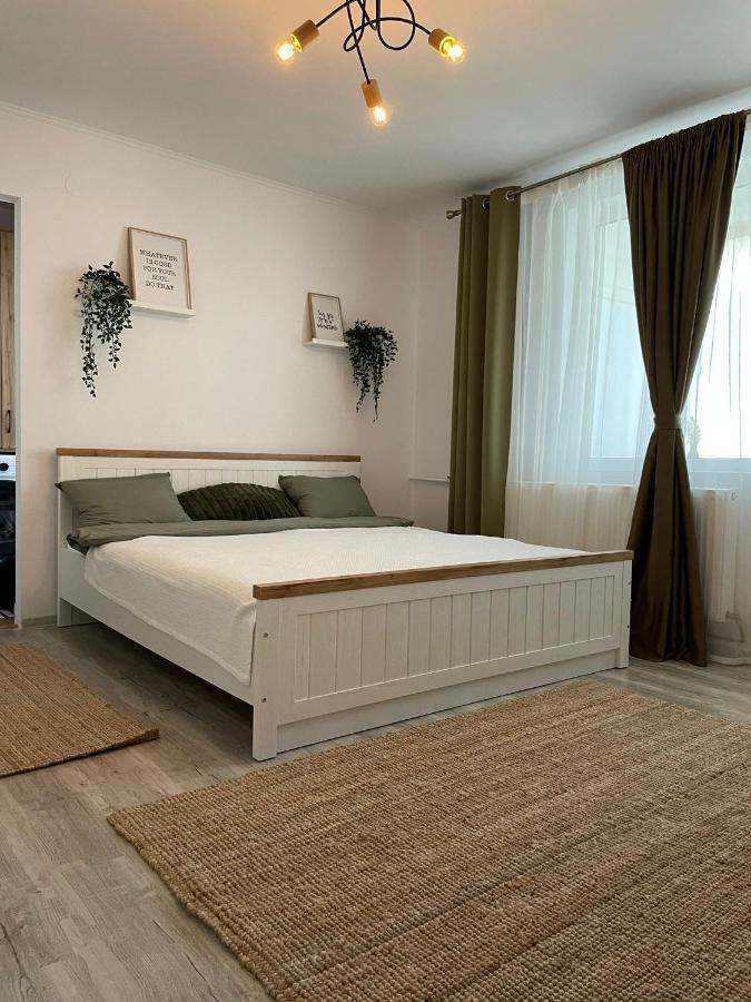 Carol Apartament'S Тимишоара Экстерьер фото