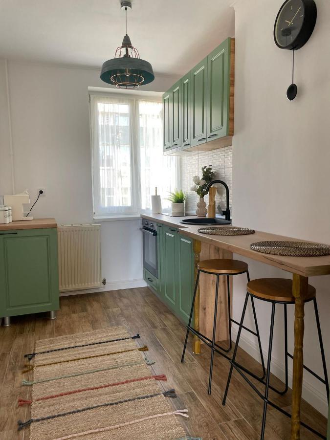 Carol Apartament'S Тимишоара Экстерьер фото
