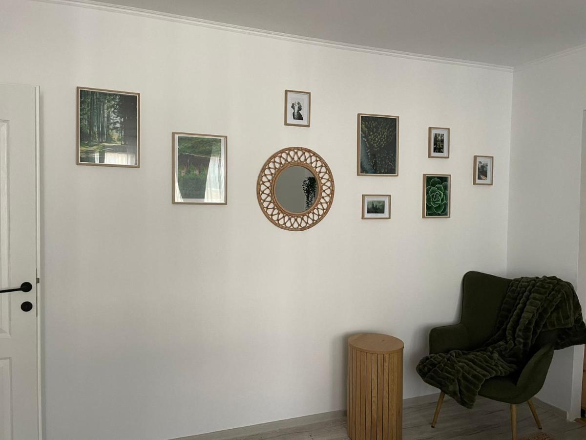 Carol Apartament'S Тимишоара Экстерьер фото