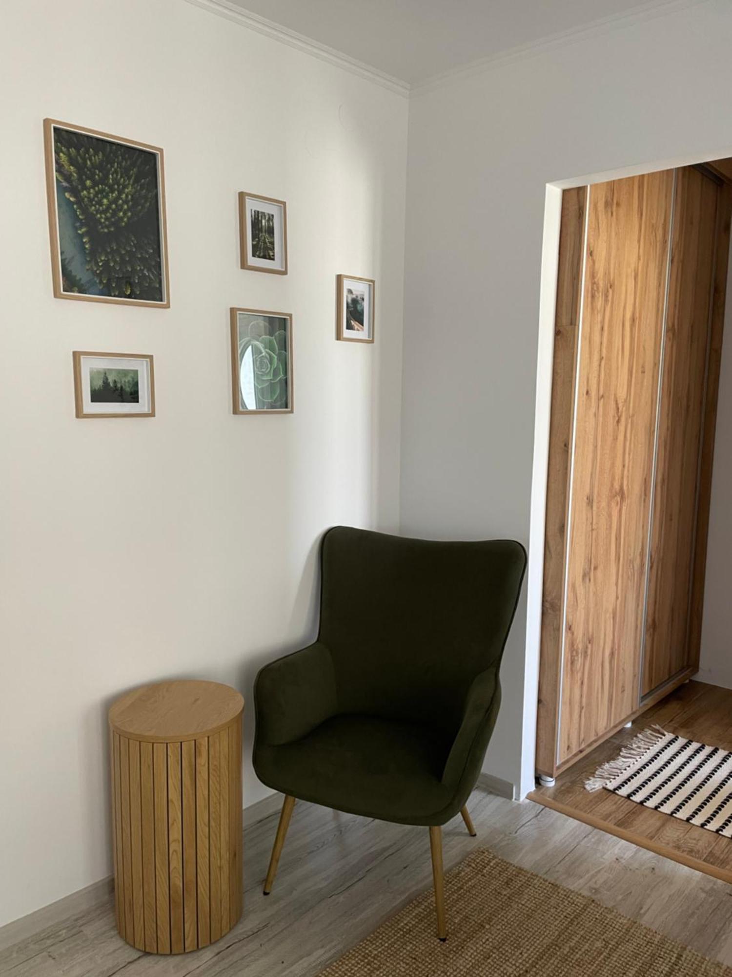 Carol Apartament'S Тимишоара Экстерьер фото